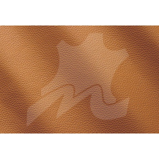 Aligo Group фото
